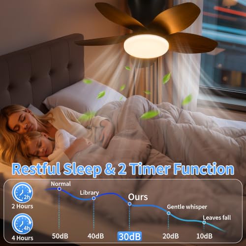 25" Small Ceiling Fans with Lights & Remote (Dark Brown)