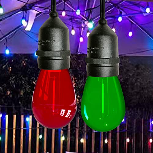 S14 Colored LED String Light Bulbs (24 Count)