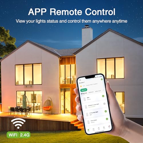 Dimmer Switch (3 Count)
