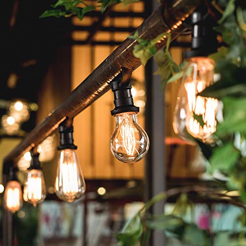 4 Pack Edison Light Bulb (4 Count)