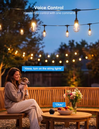 Smart Outdoor String Lights 98FT (98FT)