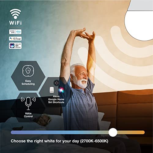 Sylvania WiFi LED Smart A21 Light Bulb