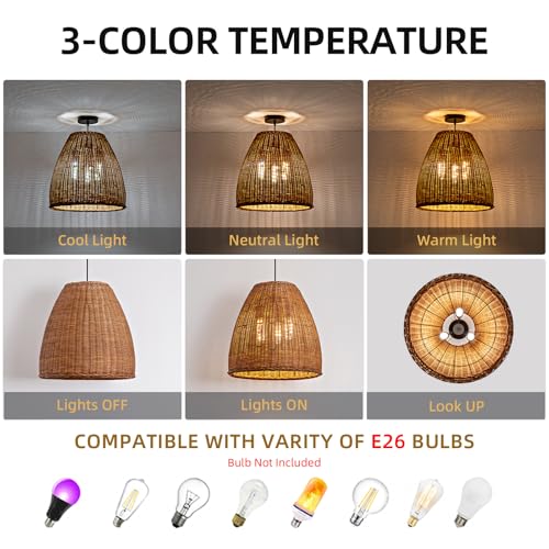 16.5" Rattan Pendant Light