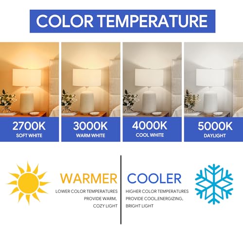 4 Pack A19 LED Light Bulb Daylight 5000K LED Bulbs (4 Count)