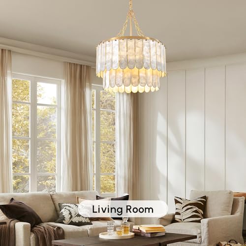 Modern 5 Light Shell Chandelier