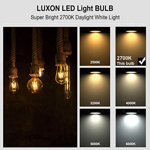 LED Edison Bulbs (8 Count)
