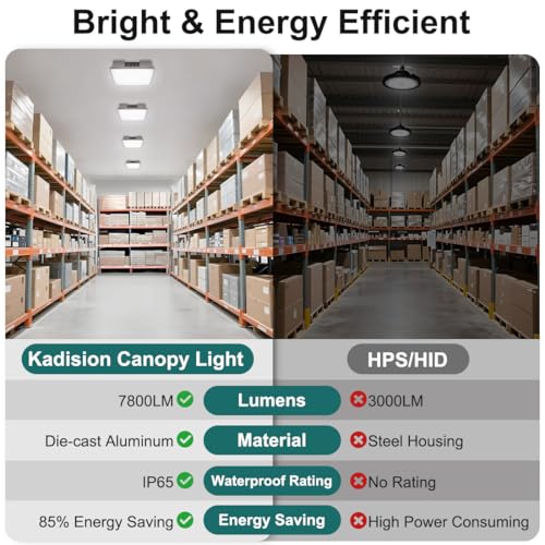60W LED Canopy Light