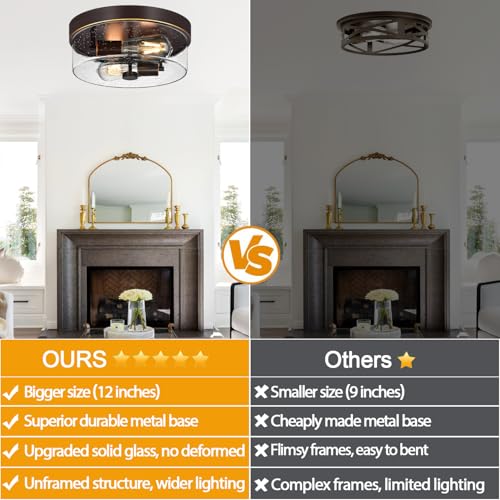 Flush Mount Ceiling Light Fixtures