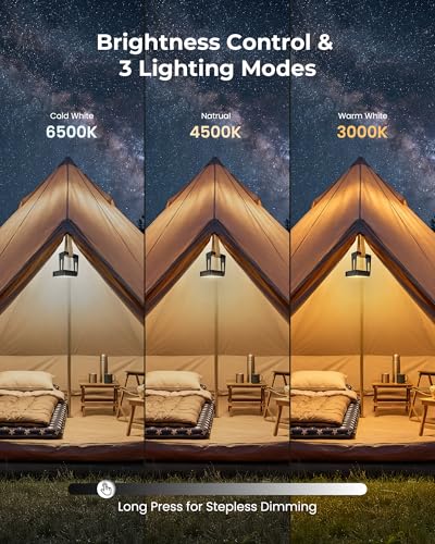 Portable LED Camping Light