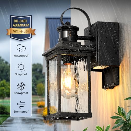 Outdoor Porch Light with Outlet