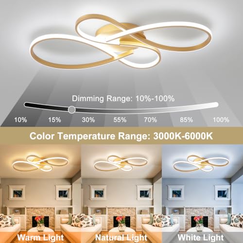 66W Dimmable Modern LED Ceiling Light Fixtures 3000K