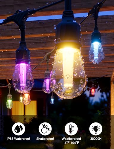 Smart Outdoor String Lights 98FT (98FT)