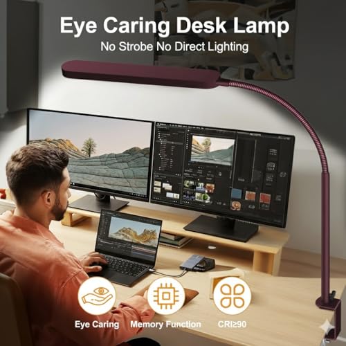 LED Desk Lamp