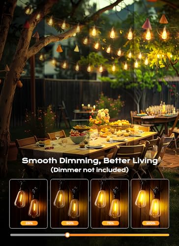 Outdoor String Lights