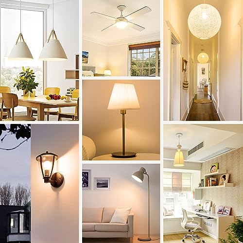 A19 LED Light Bulbs (4 Count)