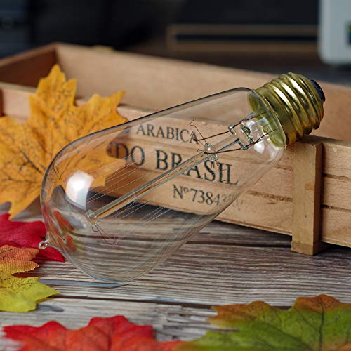 6 Pack Edison Light Bulb 60 Watt Dimmable ST58 Vintage Warm Bulb (6 Count)