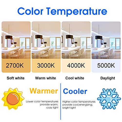 Energetic LED Bulbs 100 Watt Equivalent (6 Count)