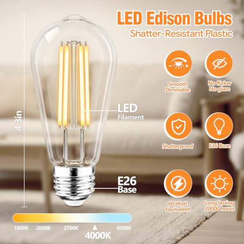 Vintage LED Edison Light Bulbs
