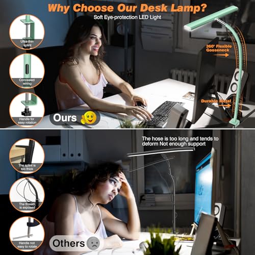 LED Desk Lamp with Clamp