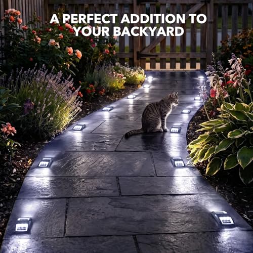 Solar Driveway Lights 4 Pack (4 Count)