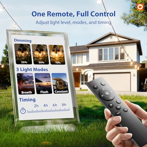 50FT Outdoor String Lights ST38 LED with Remote Waterproof Dimmable (50 Foot)
