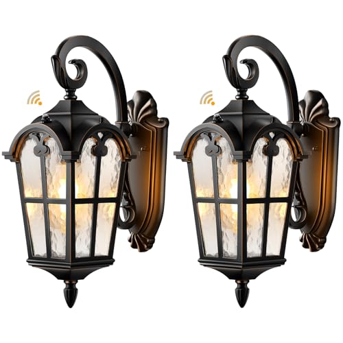 Outdoor Lights for House (2 Count)