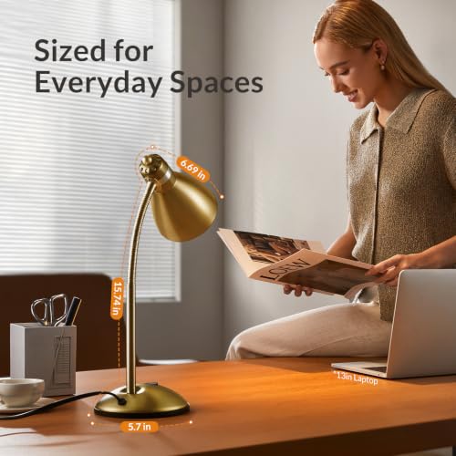 Metal Desk Lamp