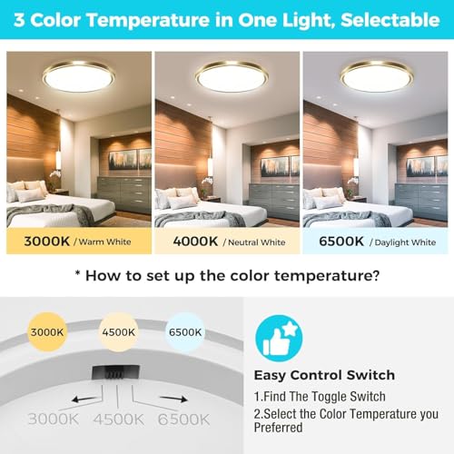 2Pack LED Ceiling Light Fixture (2 Count)