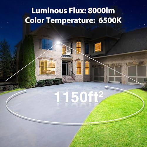 80W Flood Lights Outdoor (2 Count)