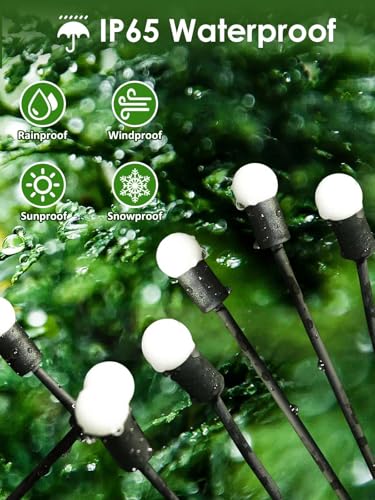 8 Pack Solar Garden Lights