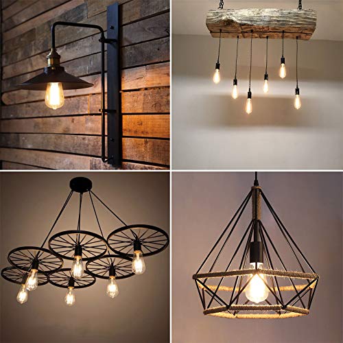 Dimmable Vintage LED Edison Bulbs (6 Count)