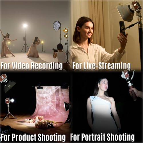 Mini II 20W LED Video Light