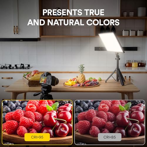13" LED Video Soft Light Panel with Desk Stand