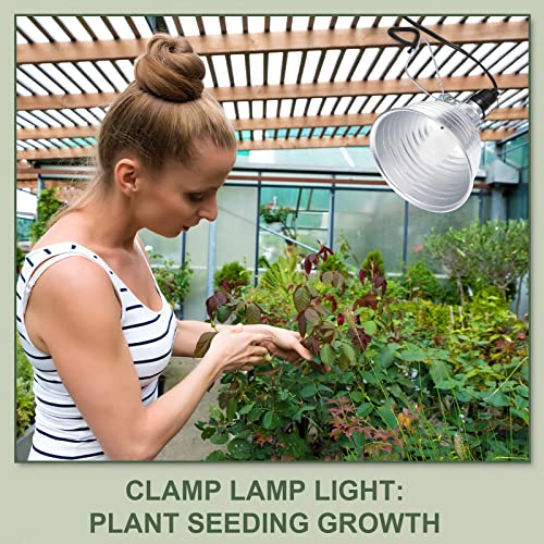 8 Pack Clamp Lamp Light with Aluminum Reflector (8 Count)