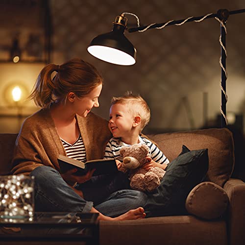 Plug in Hanging Light Fixture