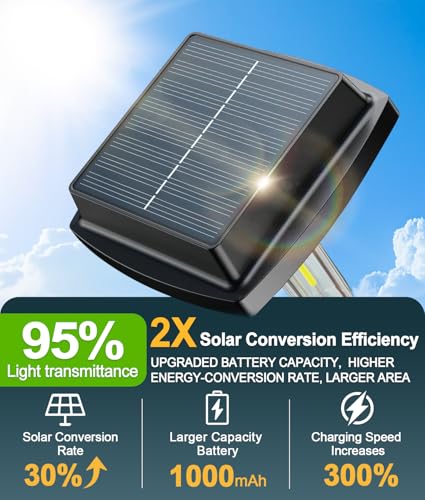 8 Pack Solar Pathway Lights Outdoor (8 Count)
