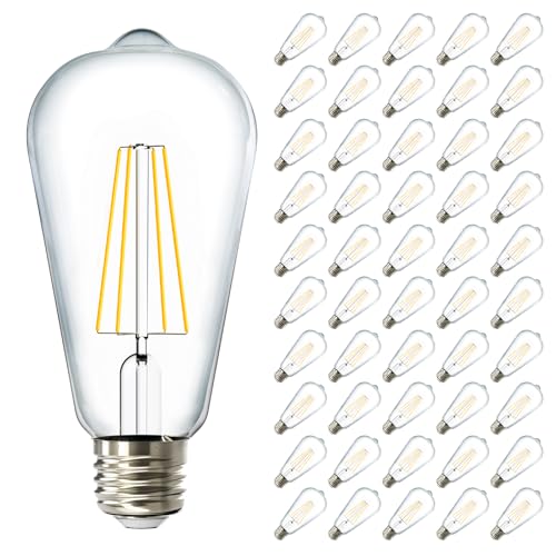 Sunco 50 Pack Edison Bulbs LED ST64 (50 Count)