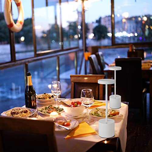 LED Cordless Table Lamps Set of 2