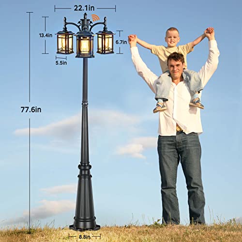 Dusk to Dawn Outdoor Lamp Post Lights