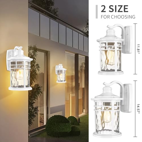Outdoor Wall Light Fixture