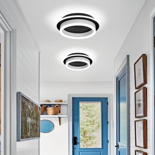 CAMEOE Modern Led Ceiling Light