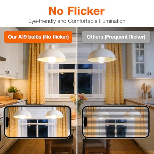 Sylvania ECO LED A19 Light Bulb (24 Count)