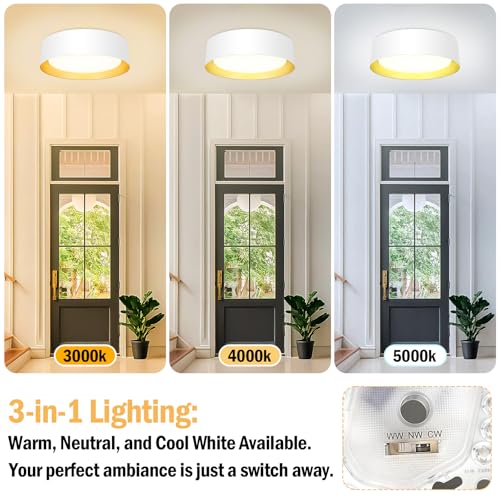 Flush Mount Ceiling Light