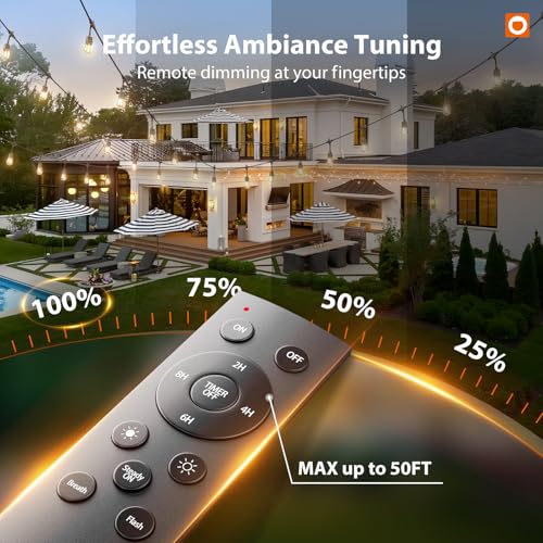 50FT Outdoor String Lights with Remote Dimmable Waterproof Patio (50 Foot)