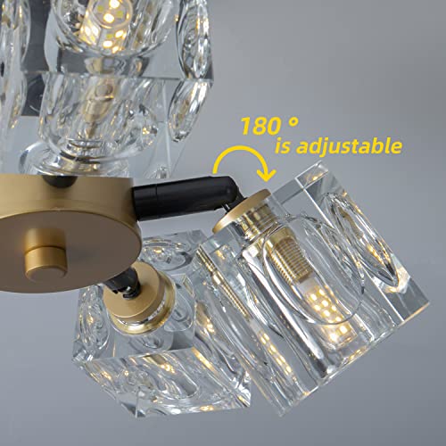 Semi Flush Mount Ceiling Light