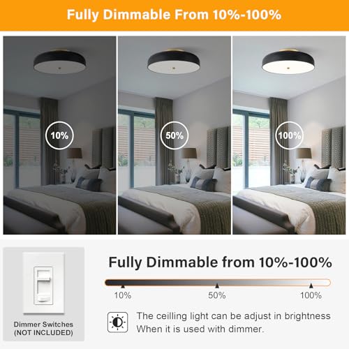 Dimmable LED Ceiling Light Fixture