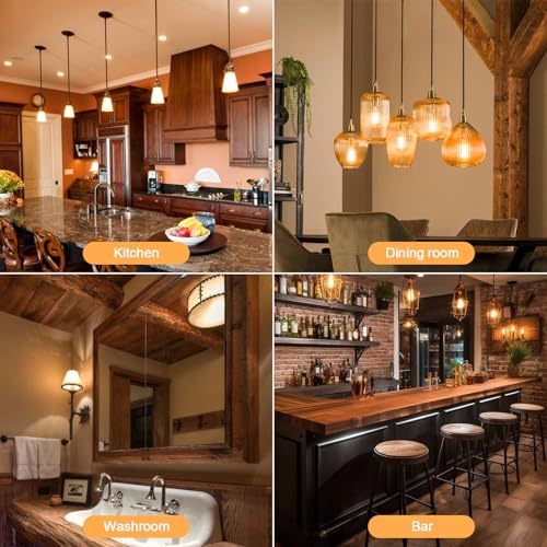 Dimmable E26 4W LED A19 Vintage Edison Decorative Light Bulbs 40 Watt 2500K (4 Count)