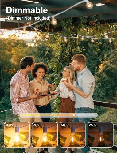 Outdoor String Lights (29 Foot)