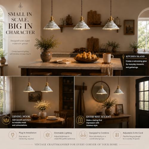 Hanging Lights with Plug in Cord Antique Silver Cage Industrial Pendant Light On