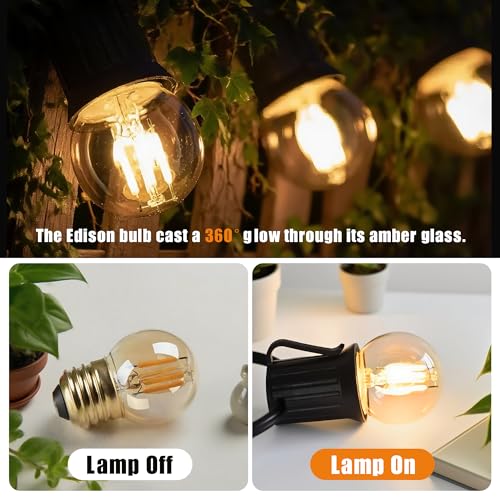 G40 Dimmable Amber LED Bulbs (2 Count)